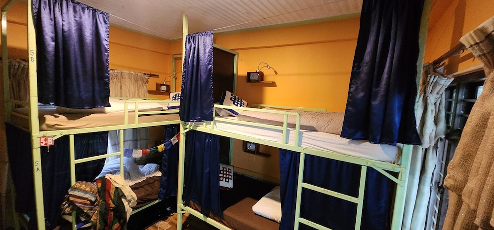 Kiwi Backpackers Hostel