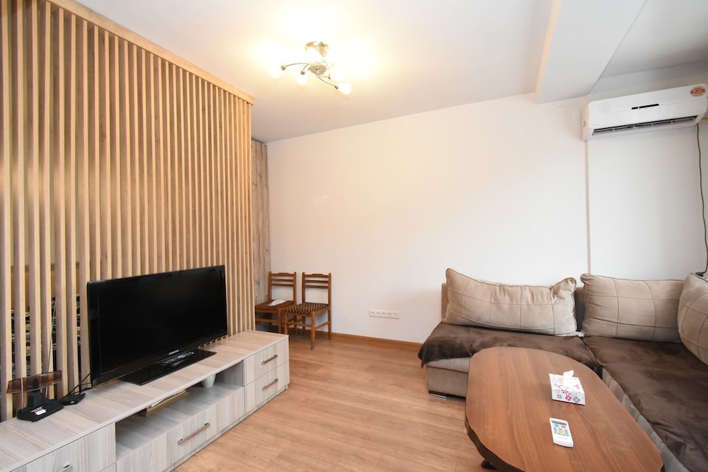 Sunny apartment on Pushkin street
