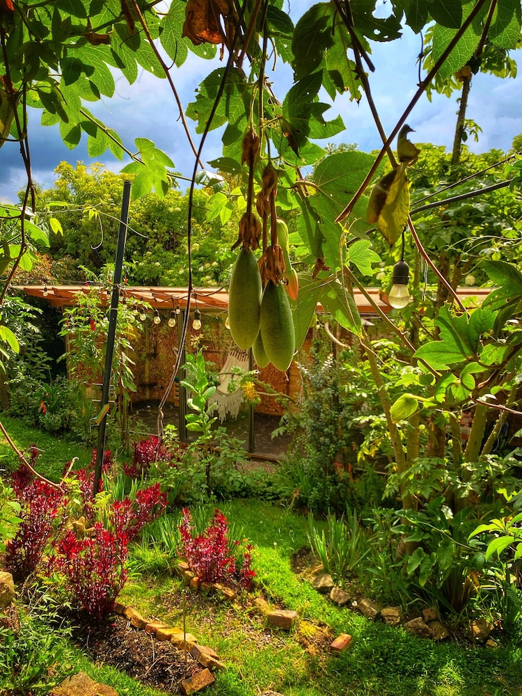 Casa Agrreste Bed & Breakfast