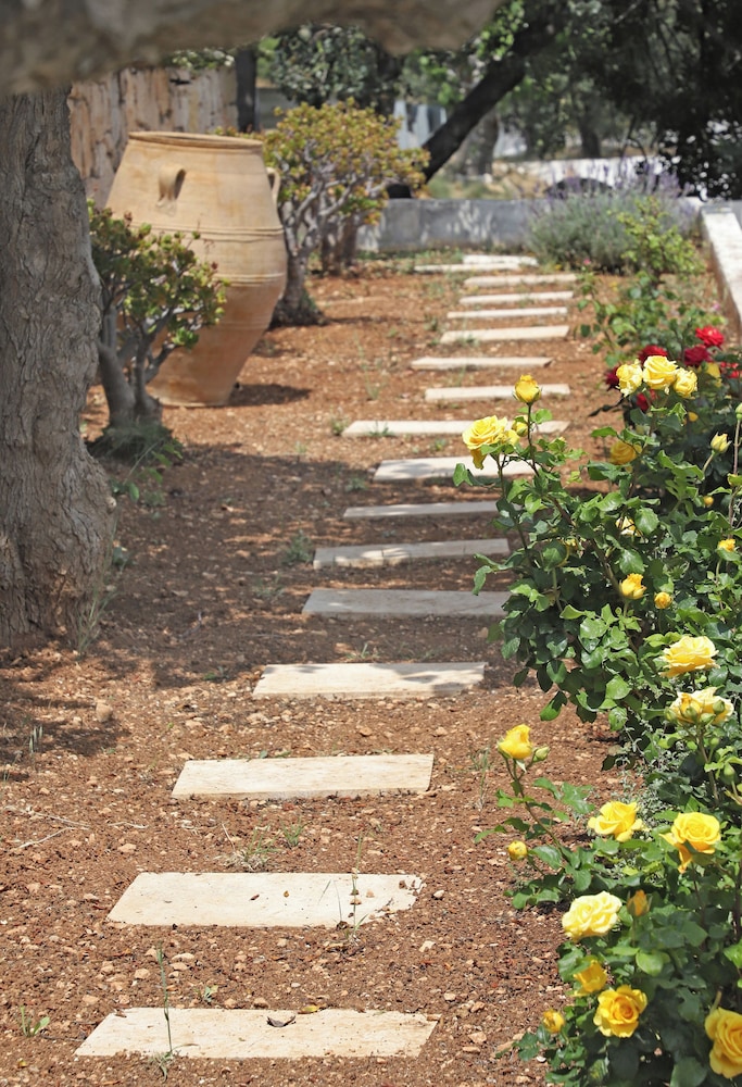 Amvikas Suites in Sitia