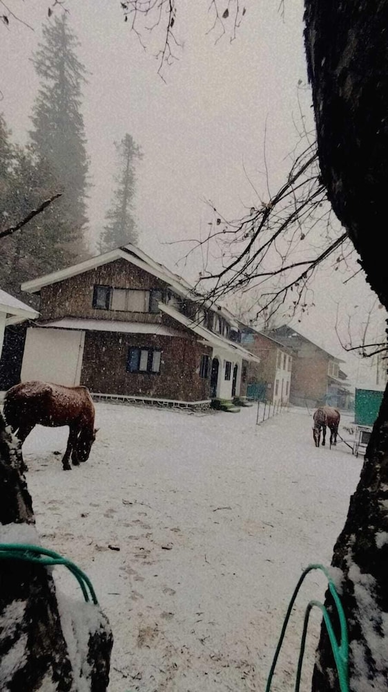 WATERFRONT PINE PAHALGAM