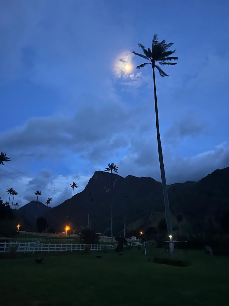 Bosques de Cocora Donde Juan B
