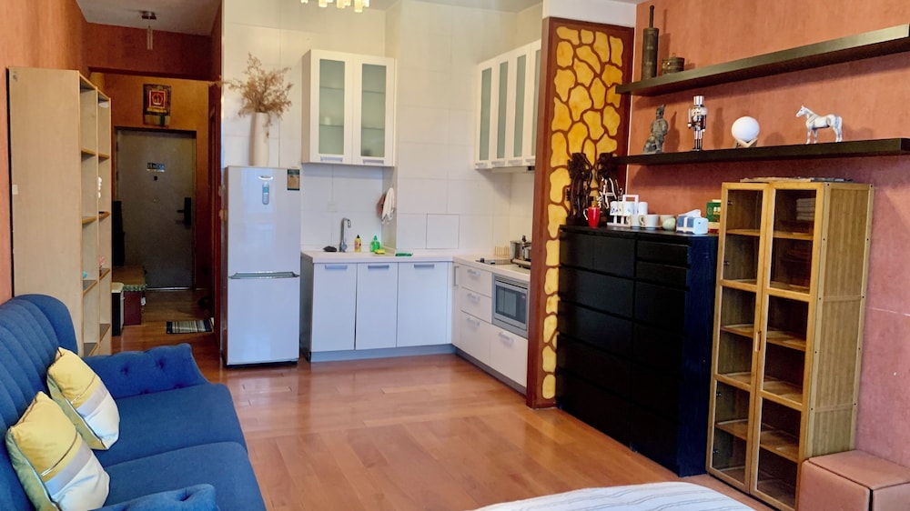 Beijing Furnished Apt with Queen bed