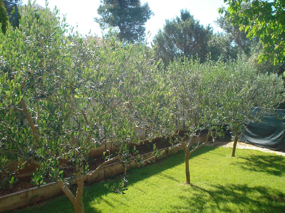 Photo 25