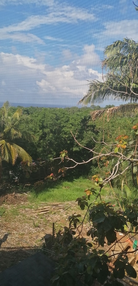 Roatan Bed & Breakfast Apartments