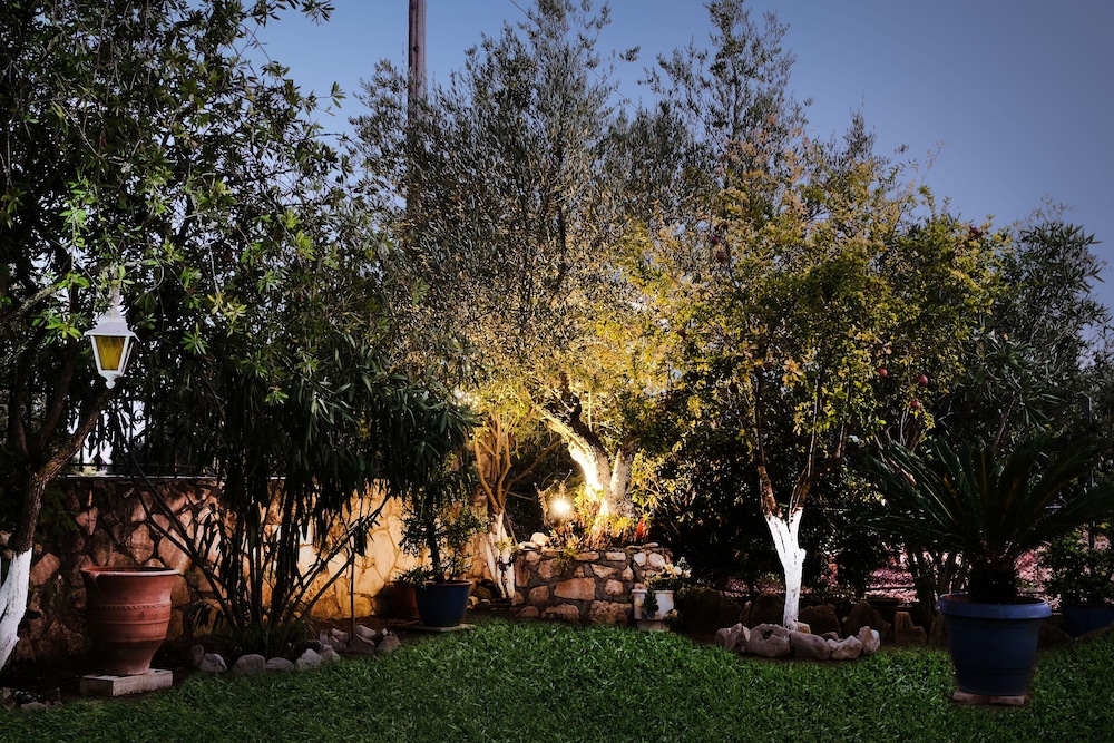 Photo 20