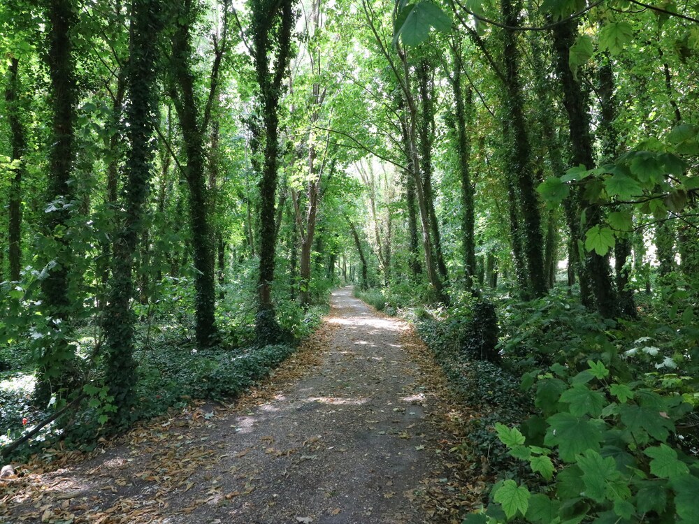 Photo 24
