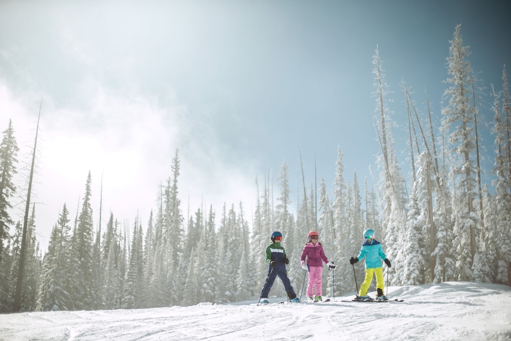 Spacious 1br - Across From Gondola + Beaver Creek View 1 Bedroom Condo by RedAwning