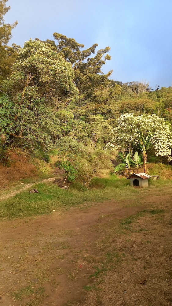 Finca panthera