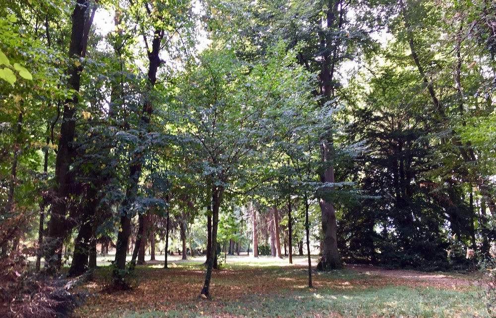 Tenuta il Palazzasso