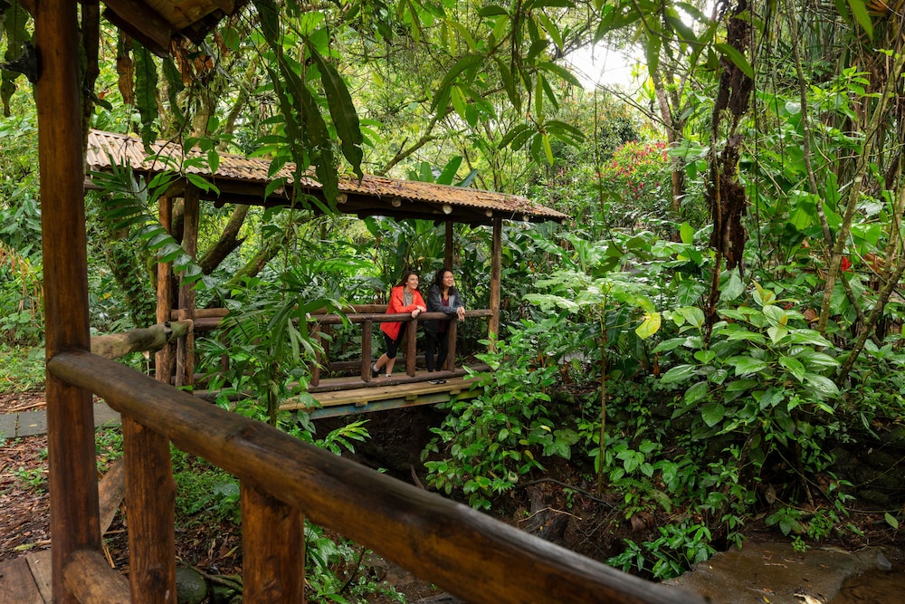 Rancho Margot