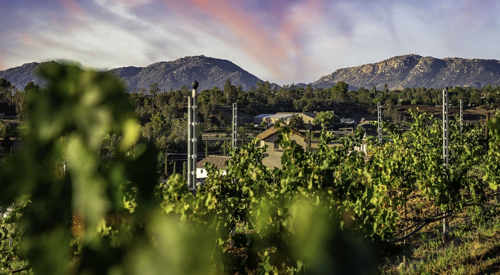 Europa Village Wineries and Resort