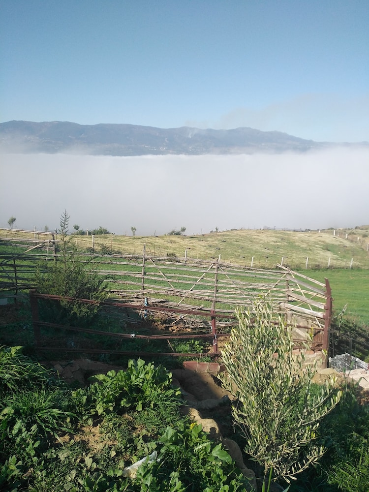 Farm stay Ali - Hostel view 4
