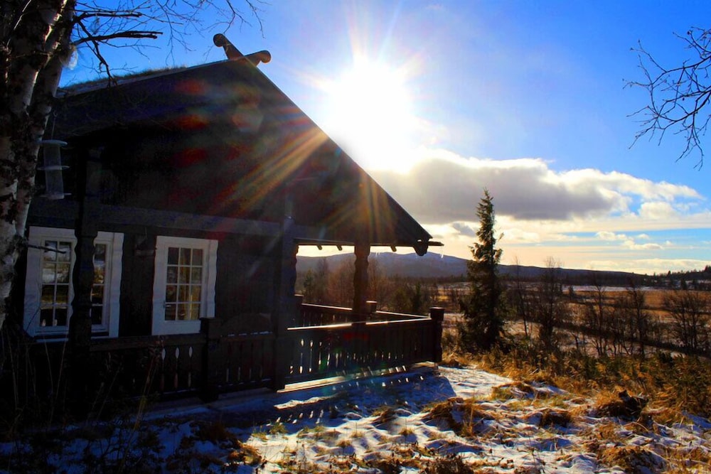 Kvitebjørn Cabin - Ål