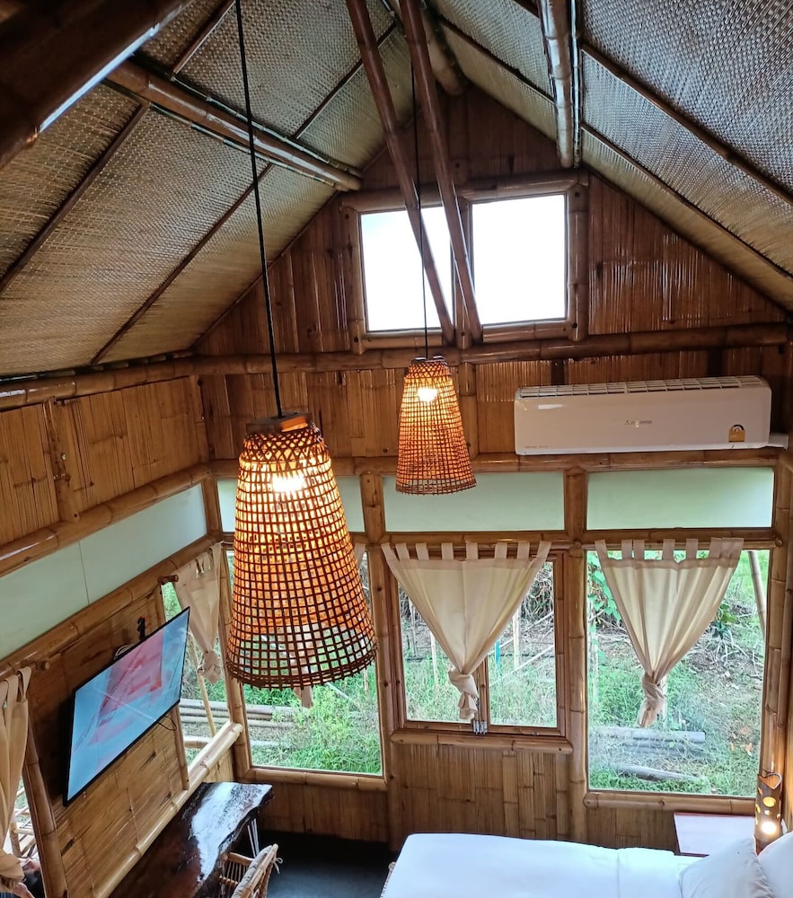 Bamboo Conservation Farm