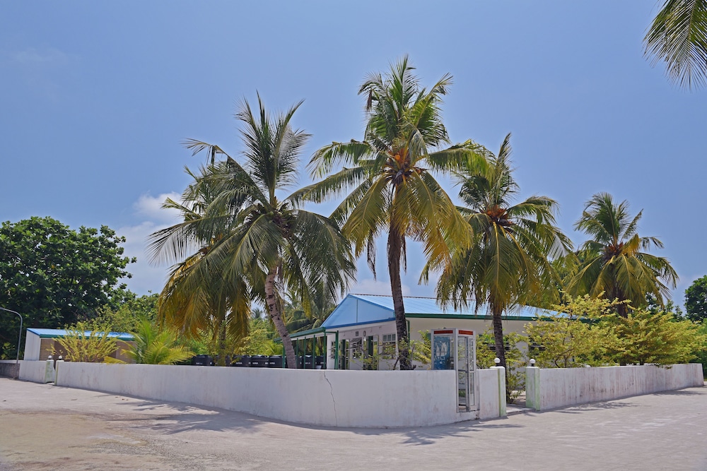 Asaa View