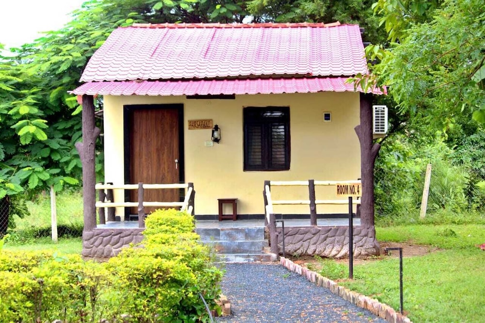 Photo 7