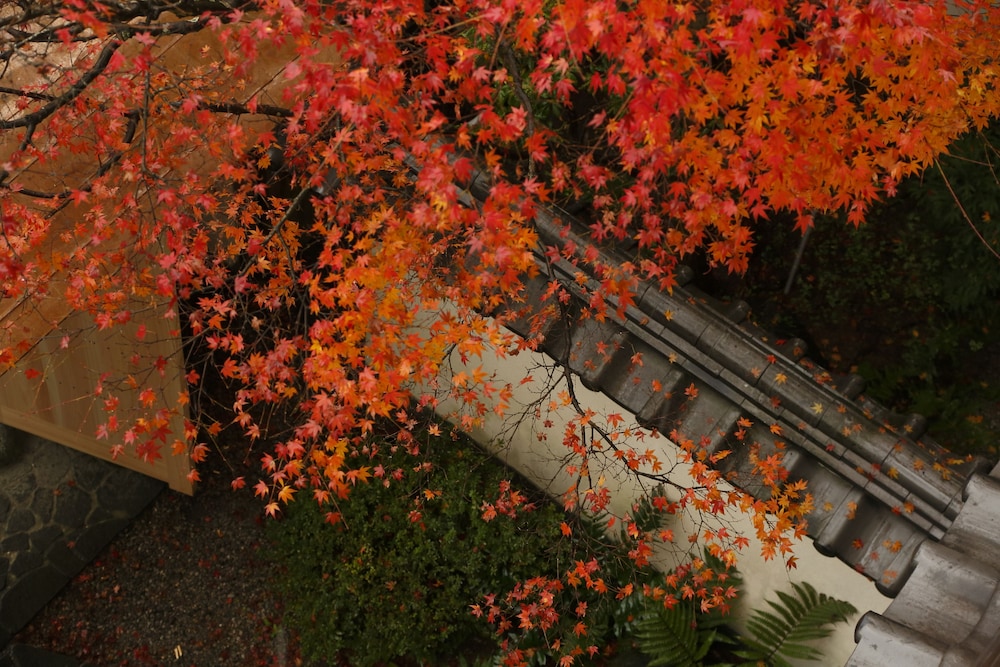 Takeo Onsen Kyotoya