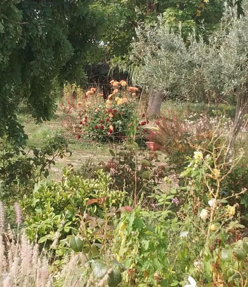 Photo 31