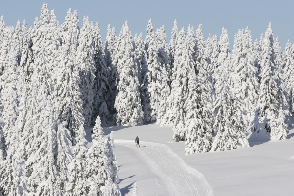 Moran Vacations - Turpin Meadow Ranch - Property Image 13