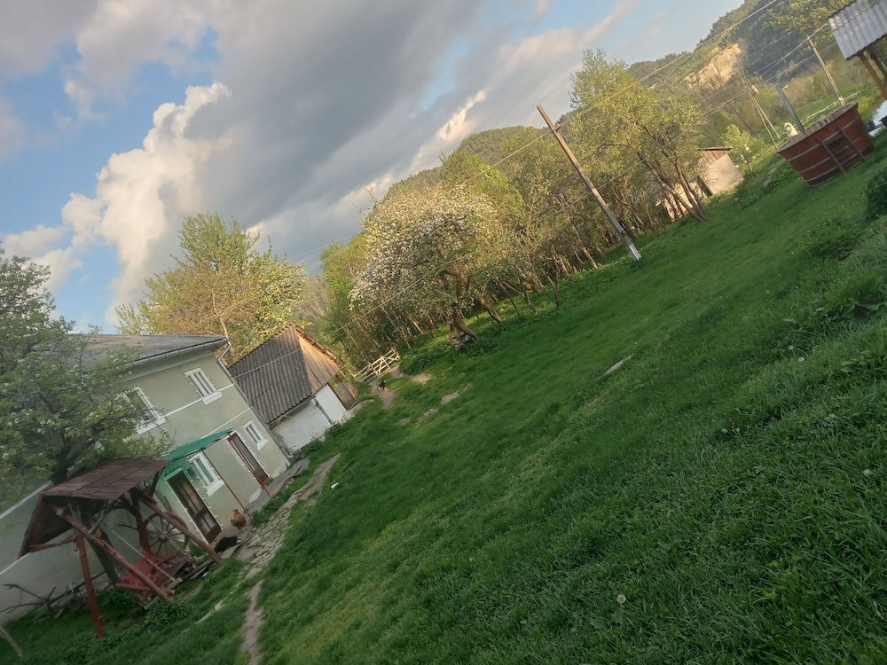 Photo 42