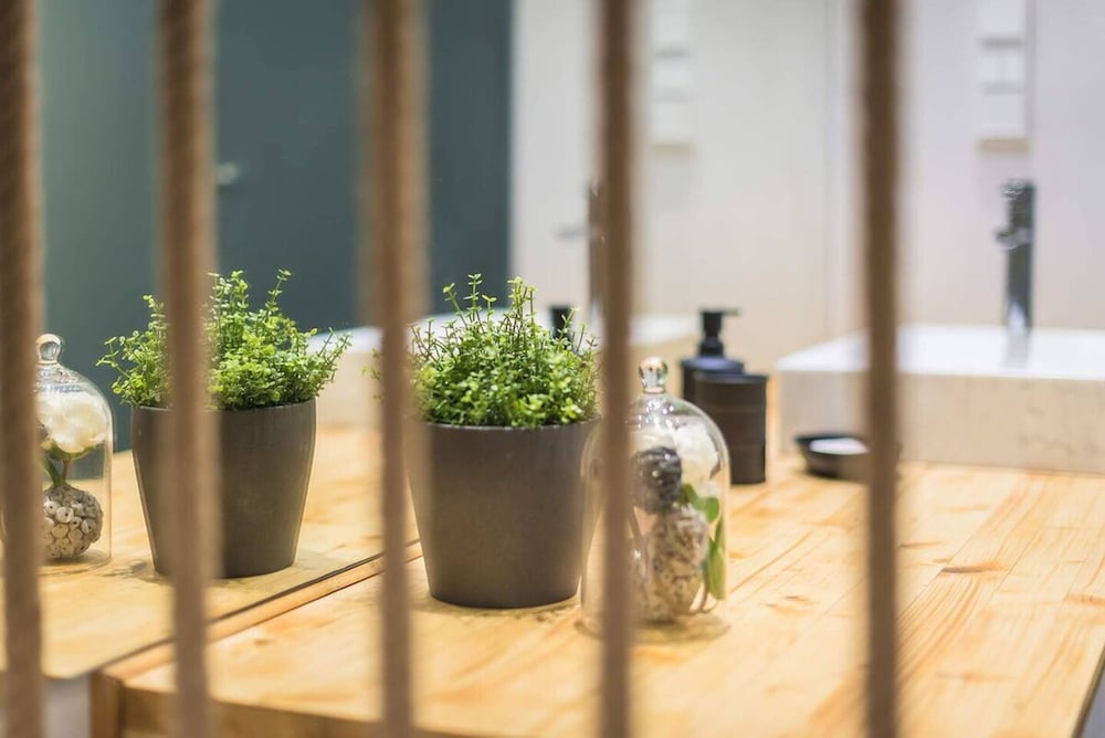 Small Minimal Paradise in the Center of the City