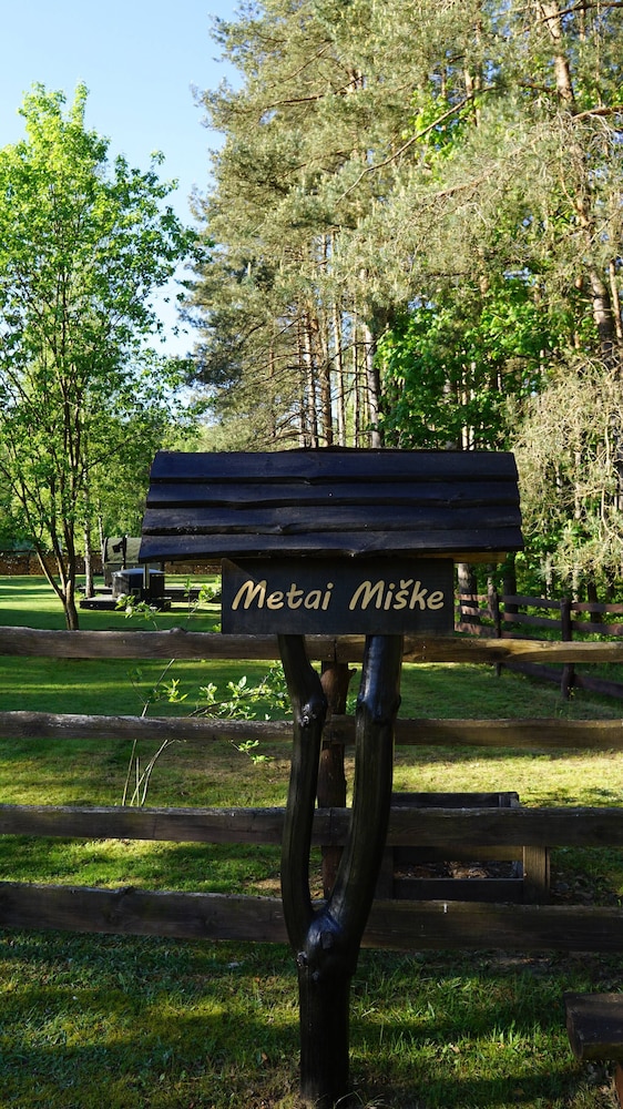 Metai Miške&a Year in the Forest
