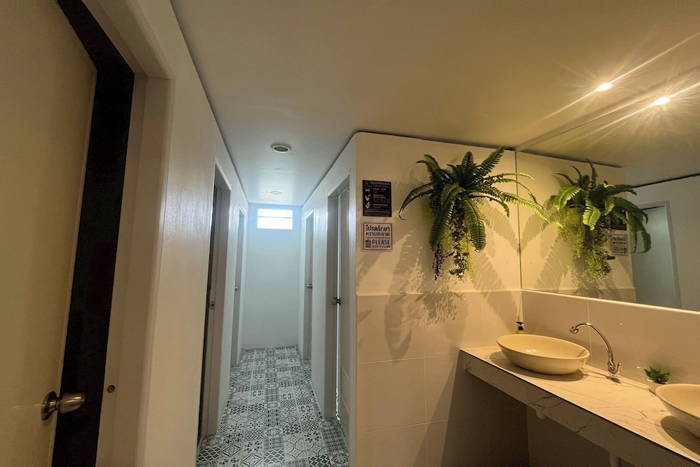 Lazy Lizard Hostel