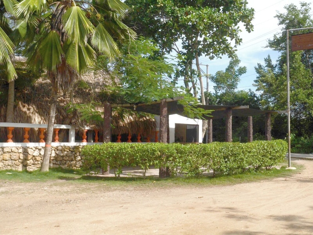 Las acacias Tolu