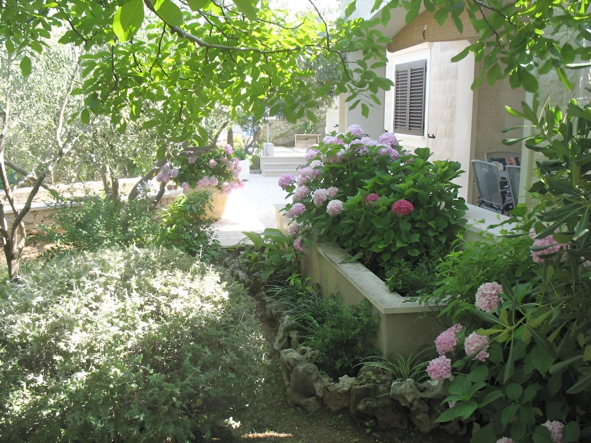 Photo 44