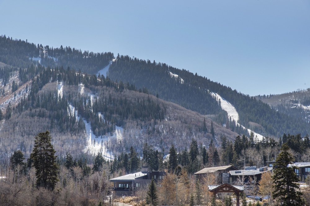 White Pines 1-BD Penthouse at Westgate - Tycoon