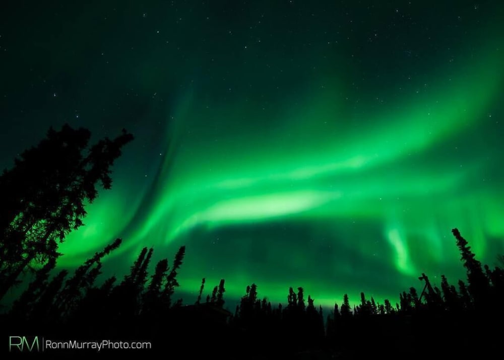 Alaska Haven - Property Image 41