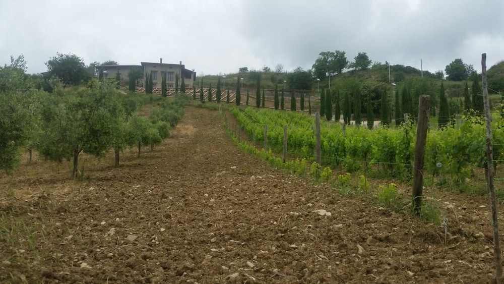 Feudi Enchestre B&B, Bilde 31