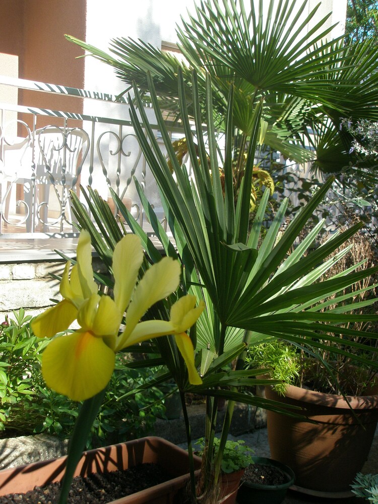 Photo 27