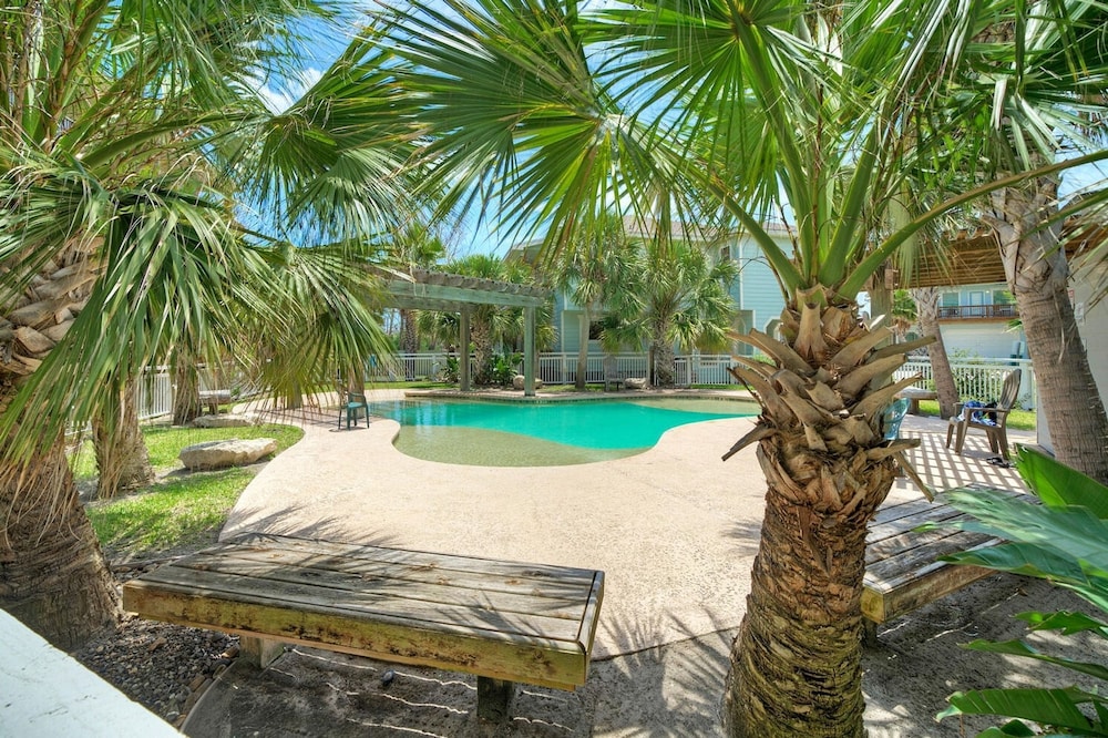 Palm Palace by Avantstay Pool Amazing Old Town Location