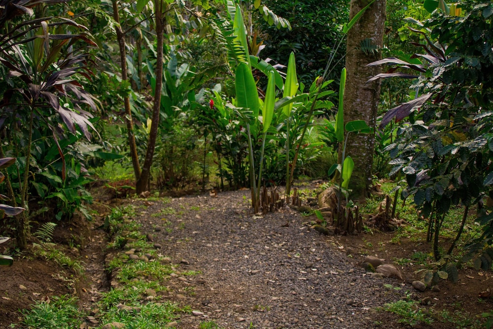 Eden Organic Farm & Bungalows