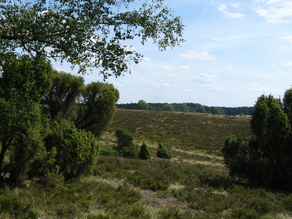 Heathside Family Retreat view 3
