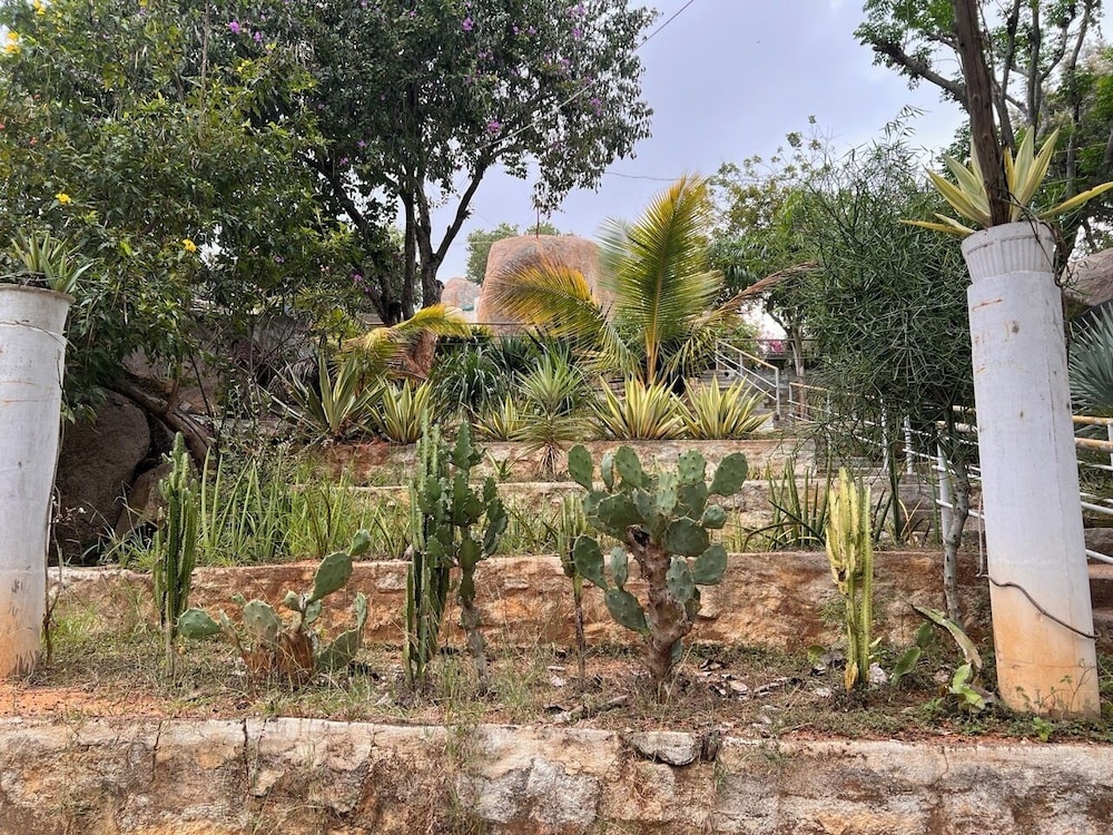 Photo 31