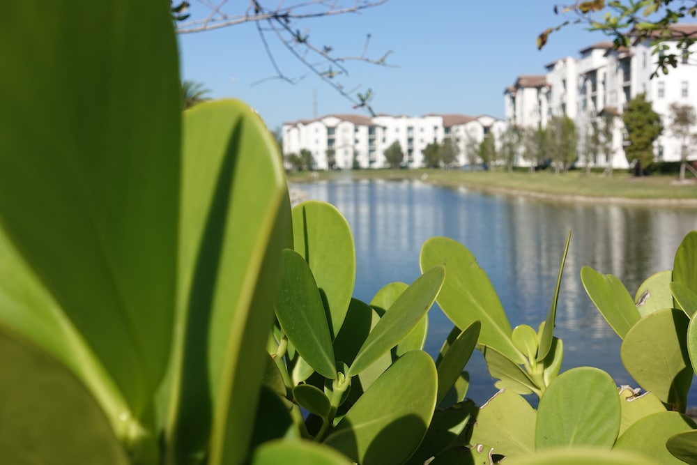 Doral Apartments by Miami Vacations
