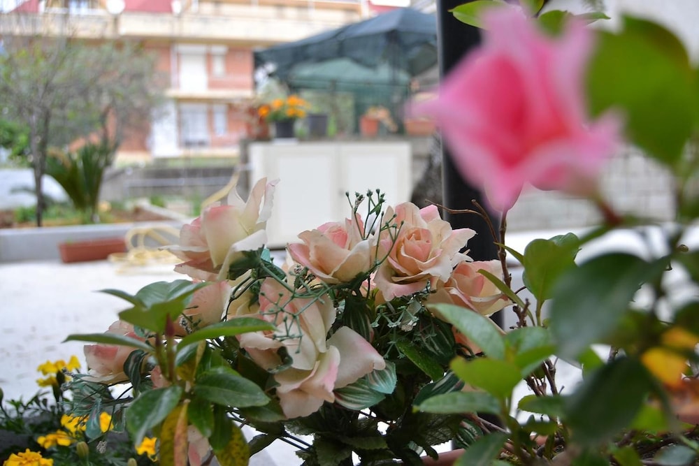B&B Il Girasole