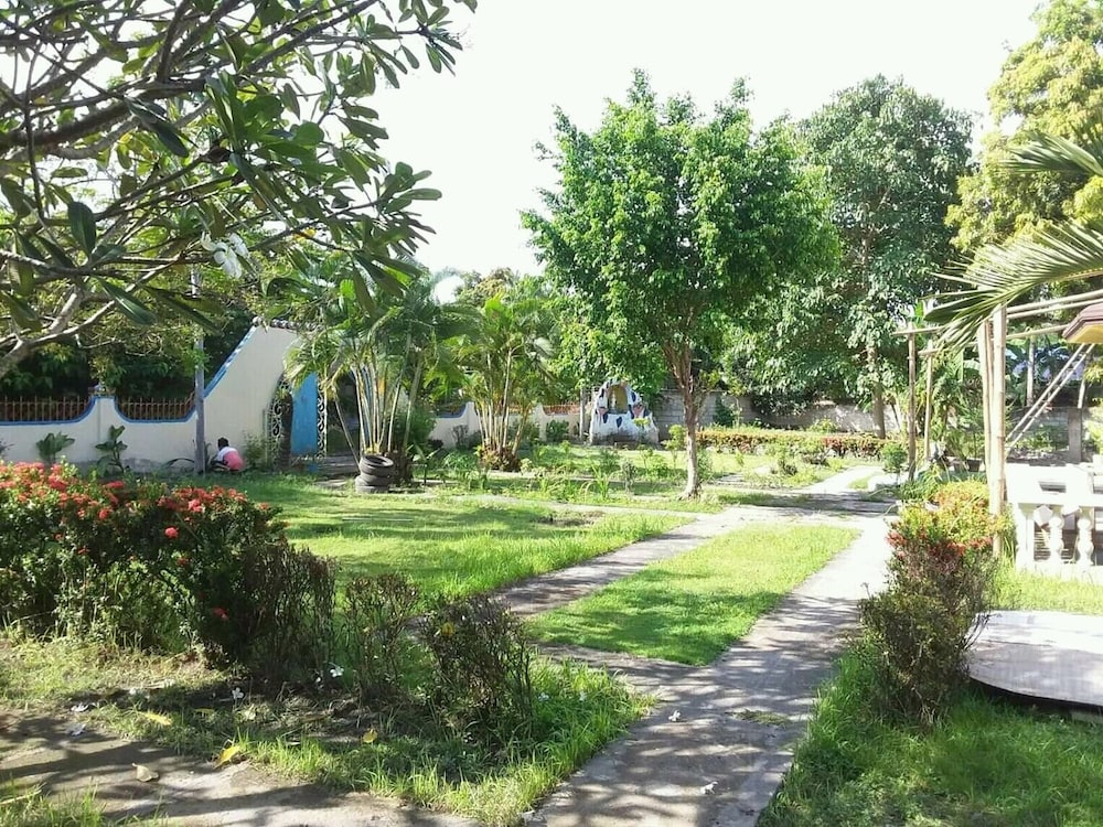 Photo 6