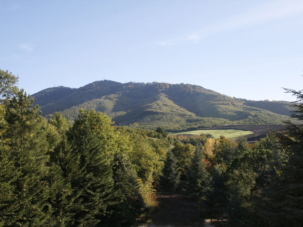Hotel Castagneto