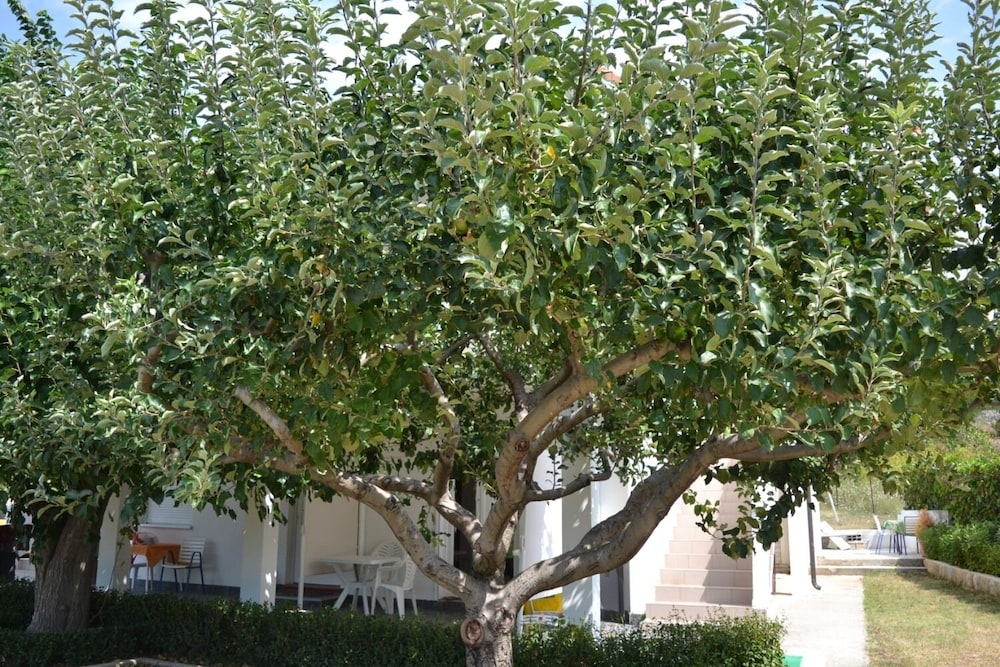 Photo 7