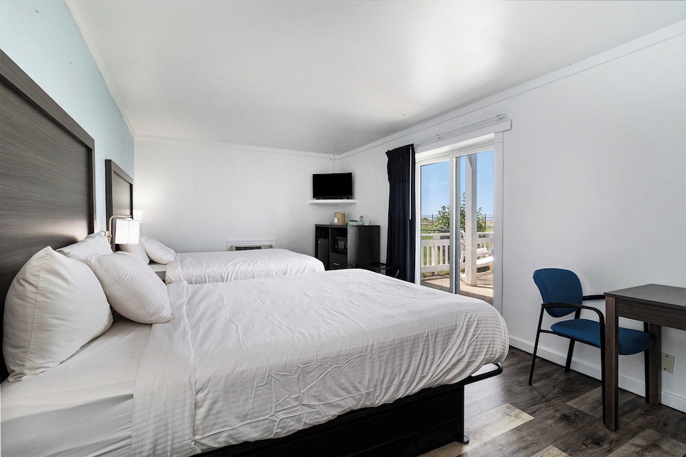 Snyder's Shoreline Inn