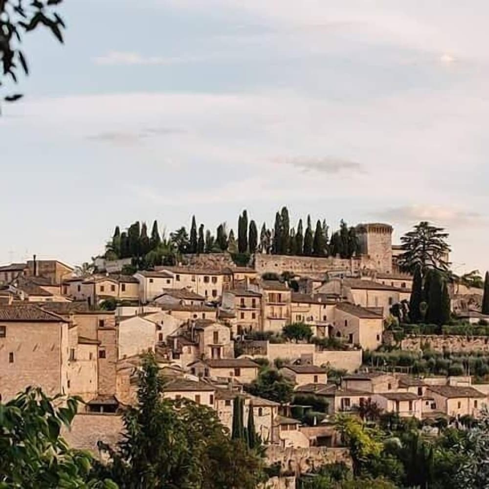 B&B Fior Fiore