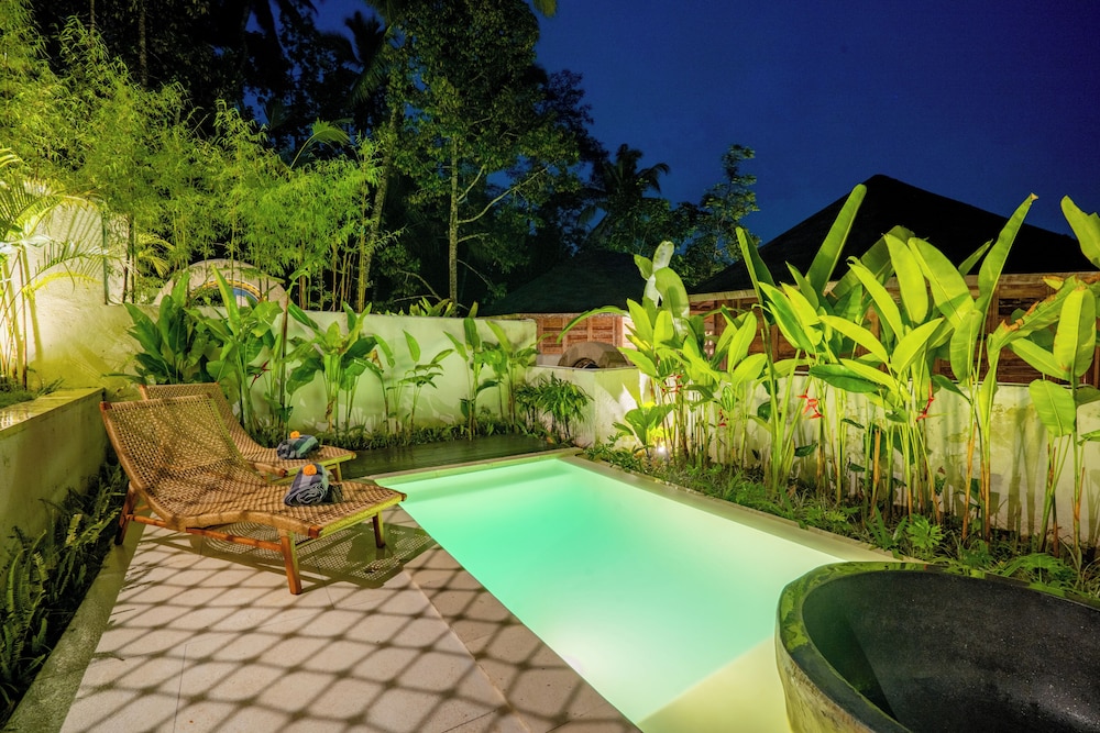 Moonlit Jungle