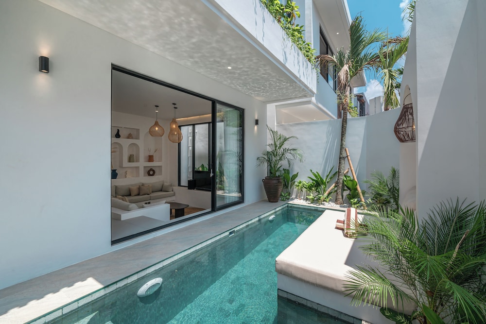 Nova Oasis 1