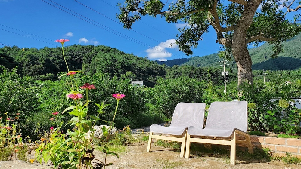 Yangyang Jaeins Garden view 5