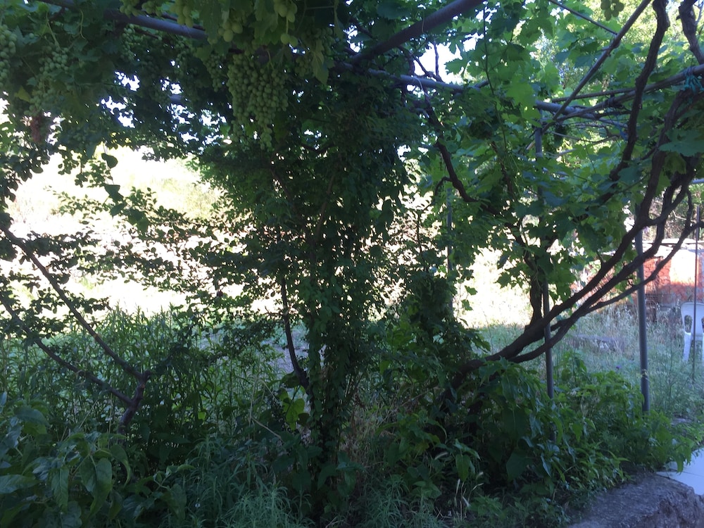 Photo 32