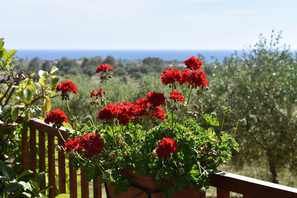 Barnìa - Agriturismo